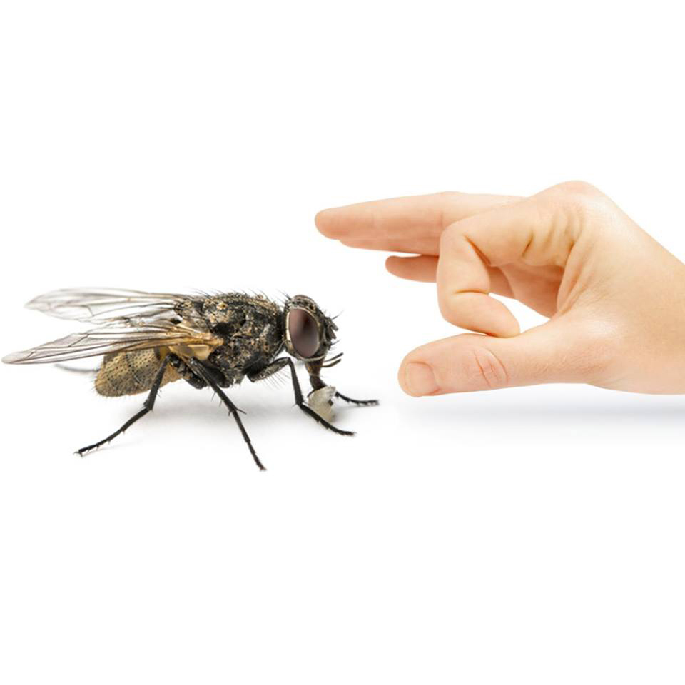 likwidowanie much wejherowo